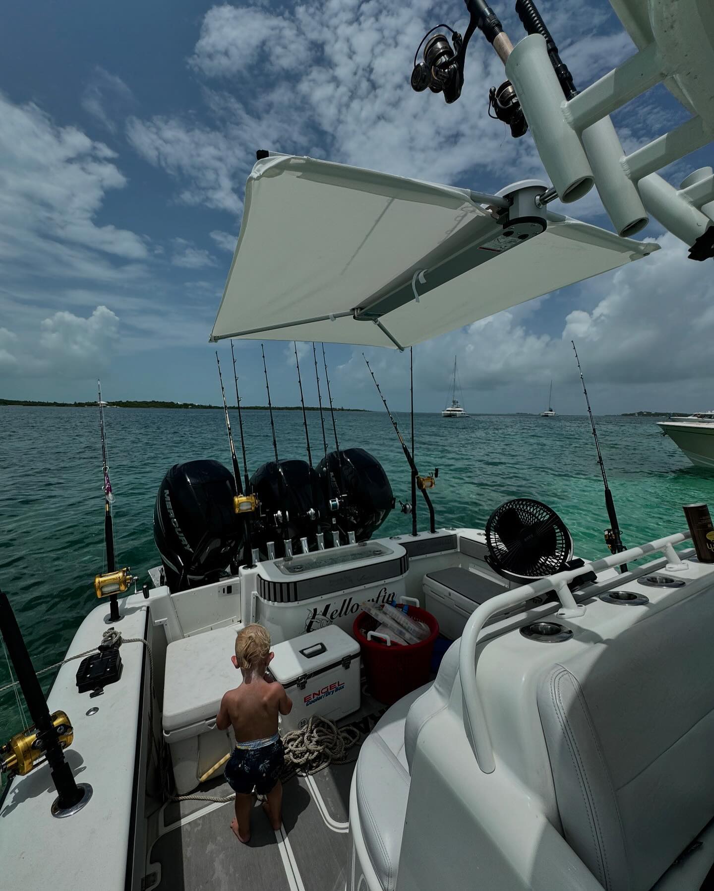 Taco ShadeFin, White w/ Bag and Fixed Rod Holder Mount Kit T10