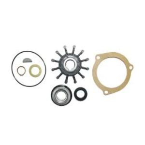 Sherwood Pump Kit-Minor Repair - 23976