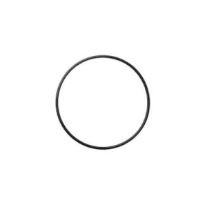 Sherwood Pump O Ring - 19964