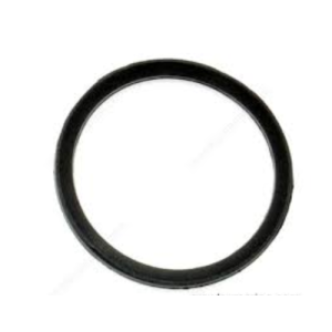 Suzuki Seal Engine Hol 16519-93J00