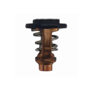 Suzuki Thermostat Wate 17670-98L20