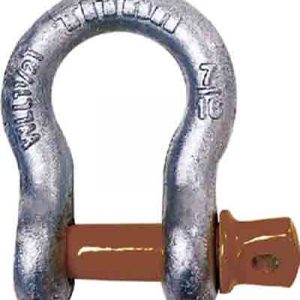 cmp10319050.jpg