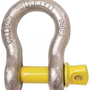 cmp10319053.jpg
