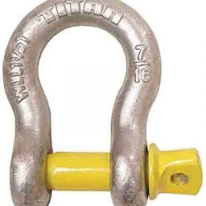 cmp10319055.jpg