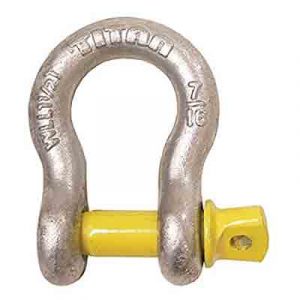 cmp10319056.jpg
