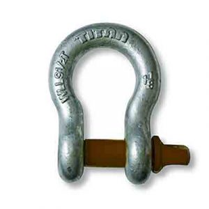 cmp10319057.jpg