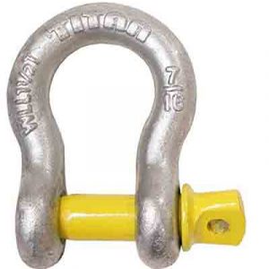 cmp10319058.jpg