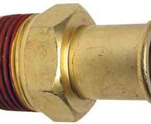glm13986.jpg