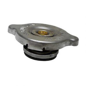seaSK3503.jpg