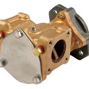 she.P1719X.jpg