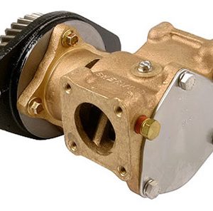 she.P1727C.jpg